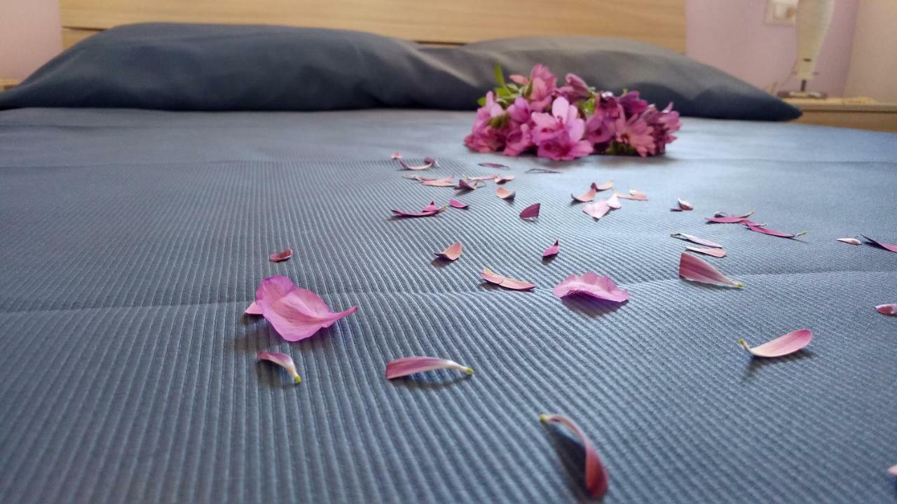 Residence Bidreams ザンブローネ エクステリア 写真